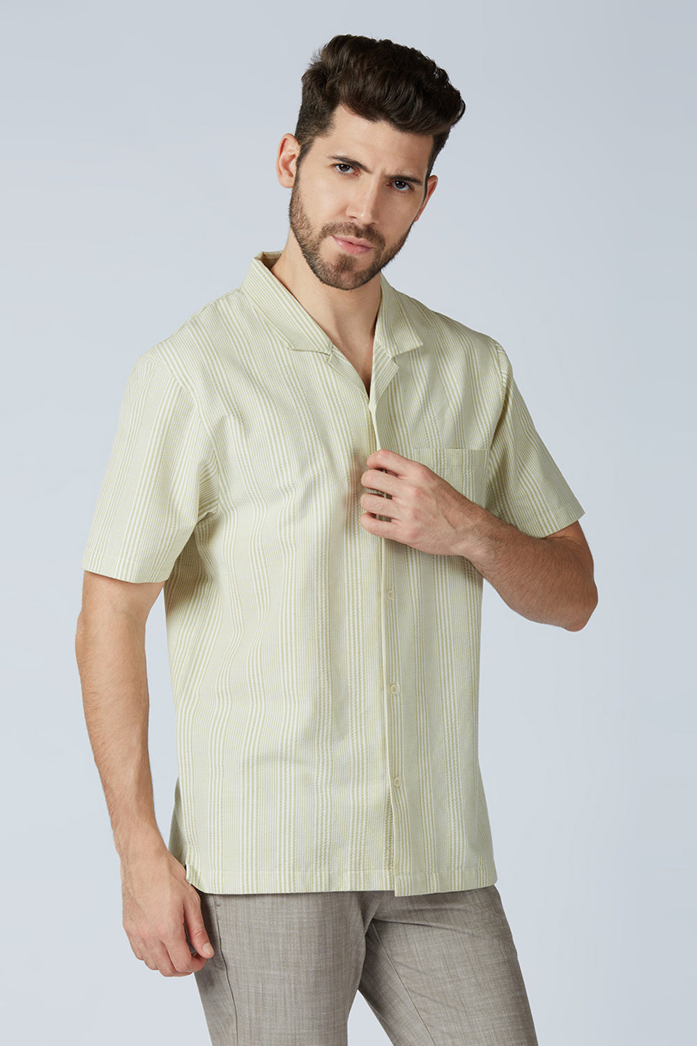 Tarragon Green