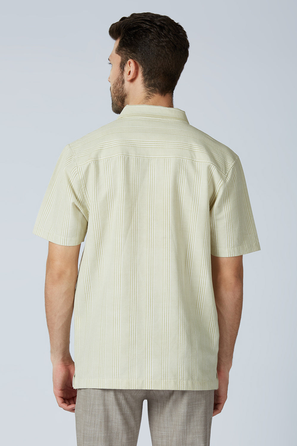 Tarragon Green