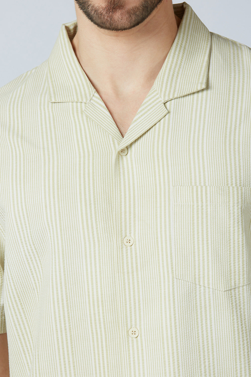 Tarragon Green