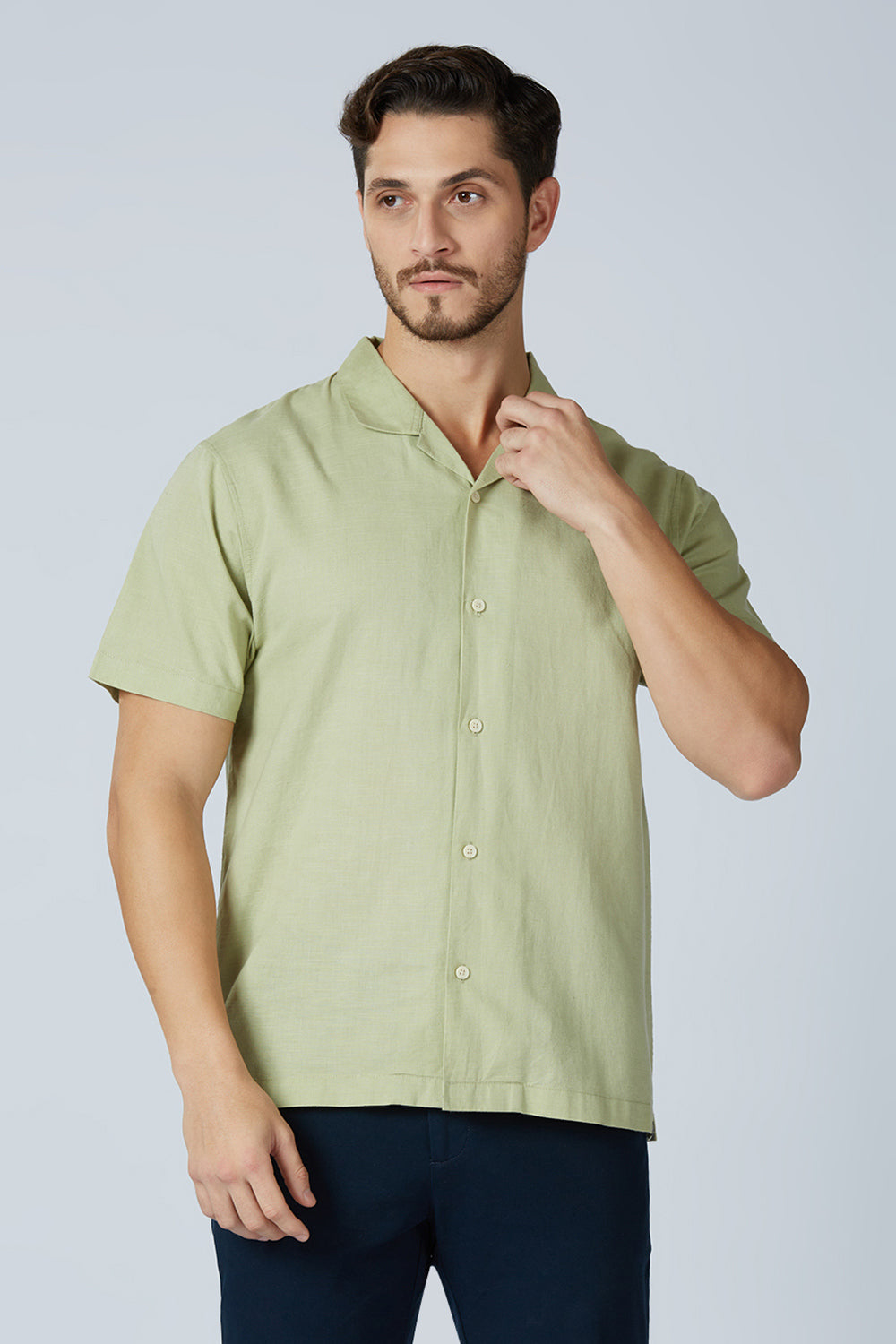 Tarragon Green